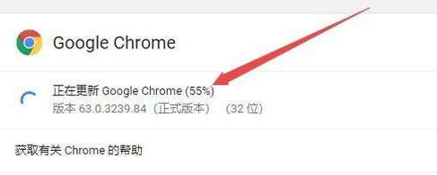 谷歌浏览器(Google Chrome)升级失败的详细处理步骤